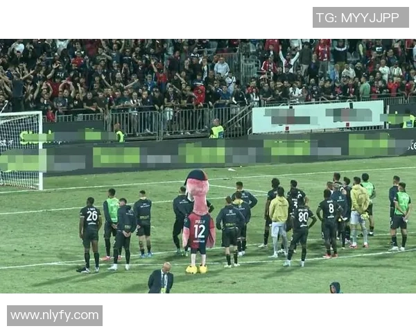 足球球星因球迷挑衅爆发冲突引发争议赛场暴力行为引发广泛关注